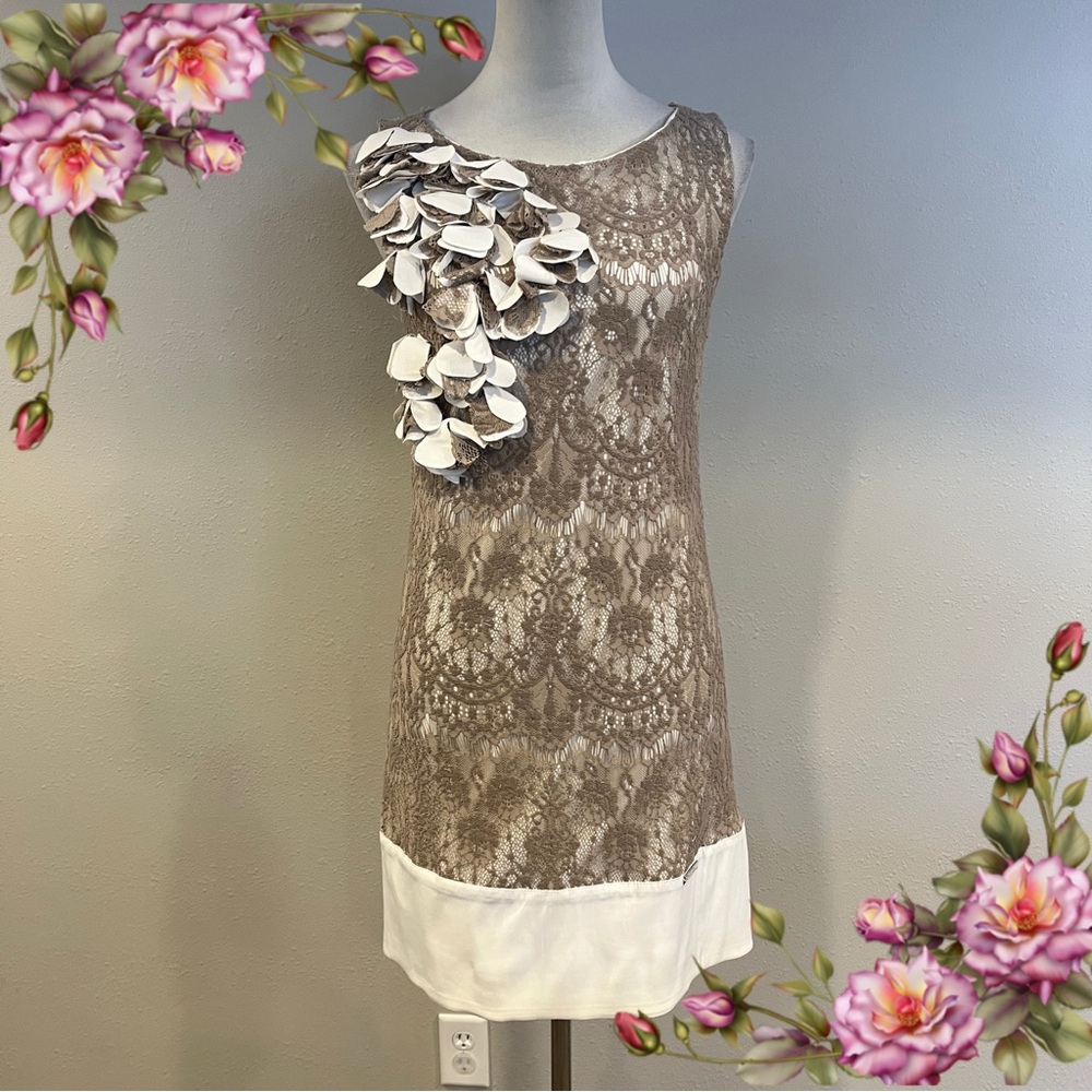 Eurika Elegant Sleeveless Lace mini Dress with Floral Accents